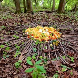 Natur-Zeremonie im Wald